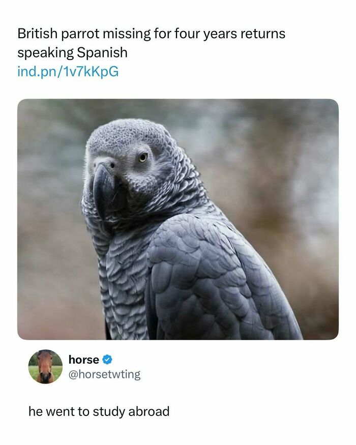 “What If?”: 125 Internet Posts That Made Scrolling Way More Enjoyable