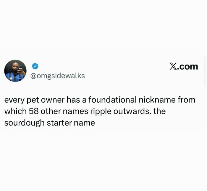 “What If?”: 125 Internet Posts That Made Scrolling Way More Enjoyable