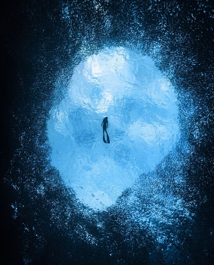 The Best Of &lsquo;The Ocean Photographer Of The Year&rsquo; Awards In 51 Stunning Photos