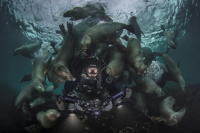 The Best Of &lsquo;The Ocean Photographer Of The Year&rsquo; Awards In 51 Stunning Photos