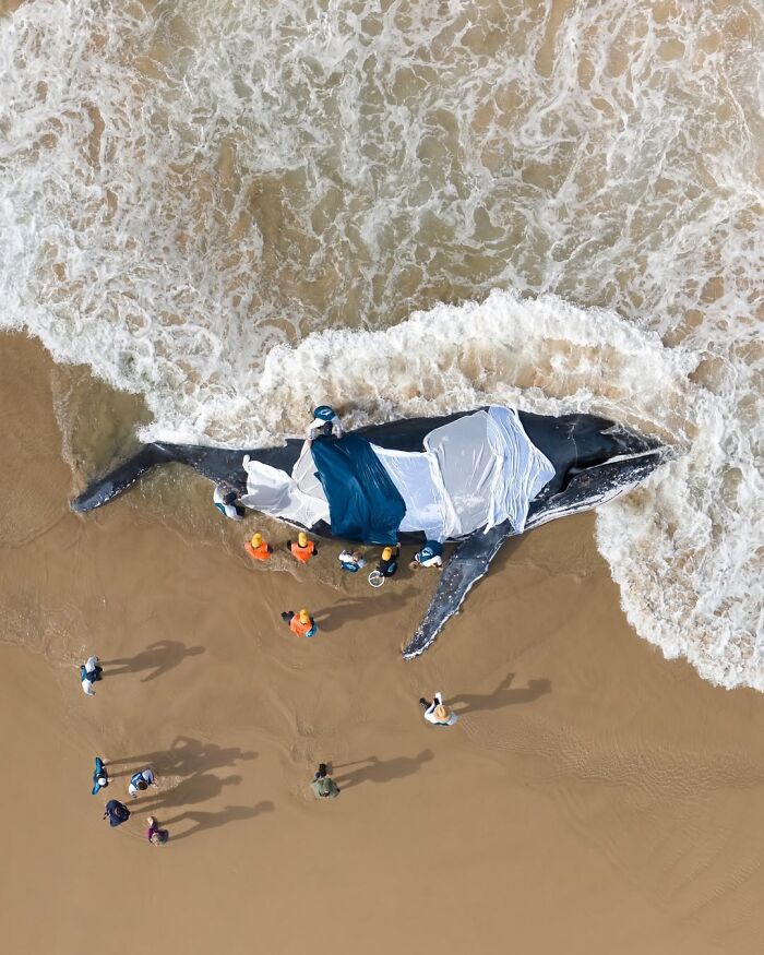 The Best Of &lsquo;The Ocean Photographer Of The Year&rsquo; Awards In 51 Stunning Photos