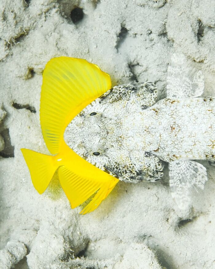 The Best Of &lsquo;The Ocean Photographer Of The Year&rsquo; Awards In 51 Stunning Photos