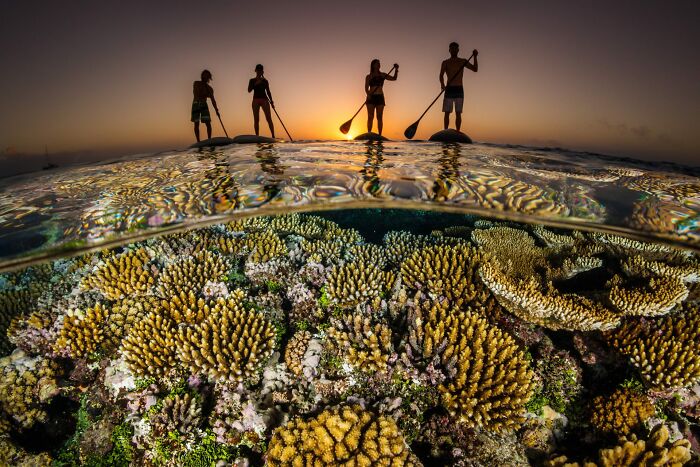 The Best Of &lsquo;The Ocean Photographer Of The Year&rsquo; Awards In 51 Stunning Photos