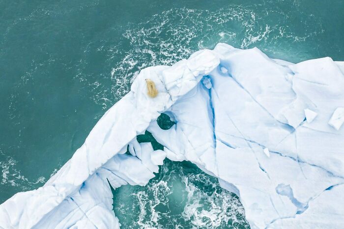 The Best Of &lsquo;The Ocean Photographer Of The Year&rsquo; Awards In 51 Stunning Photos