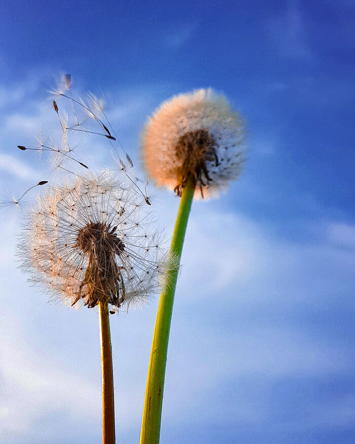 This Photographer Traveled Across The UK And Europe And Captured 62 Incredible Views
