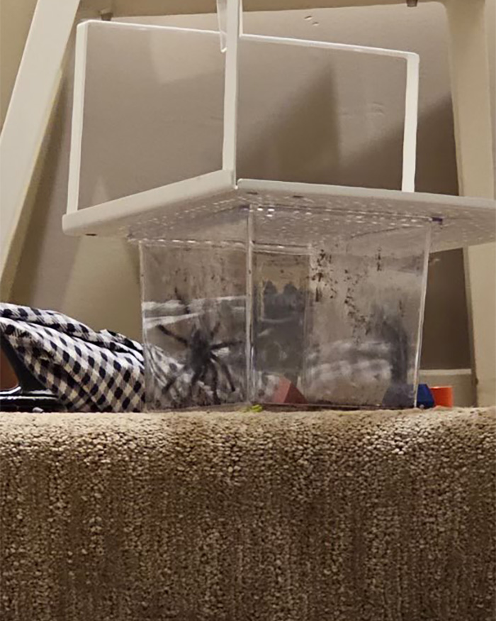 Woman’s Wild Tactic To Evict Her Tenant Backfires As She Learns Her Fate In Court