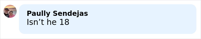 Melania Trump Speaks Out On Barron Photo Leak, Promises Consequences