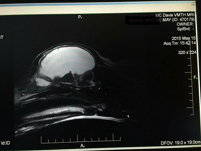 79 Weird And Unexplainable Images That May Linger In Your Brain Longer Than You Want (New Pics)