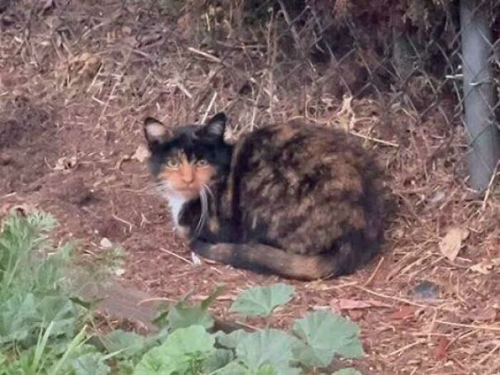 79 Weird And Unexplainable Images That May Linger In Your Brain Longer Than You Want (New Pics)