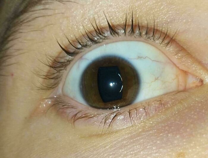 79 Weird And Unexplainable Images That May Linger In Your Brain Longer Than You Want (New Pics)