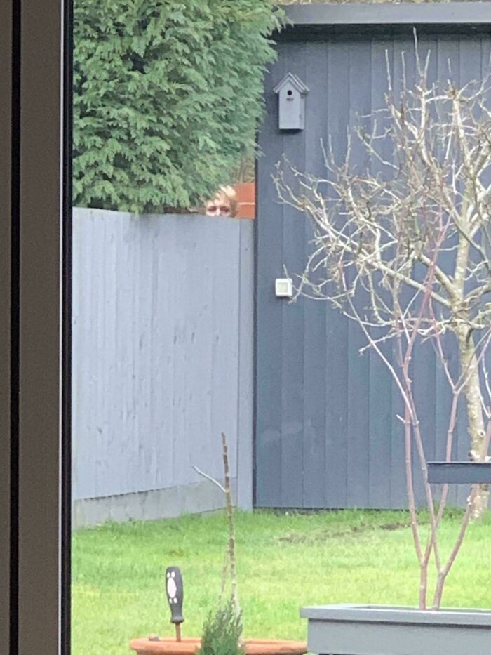 79 Weird And Unexplainable Images That May Linger In Your Brain Longer Than You Want (New Pics)