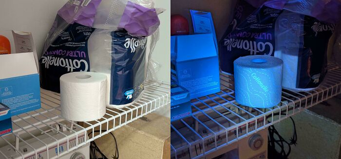 79 Weird And Unexplainable Images That May Linger In Your Brain Longer Than You Want (New Pics)