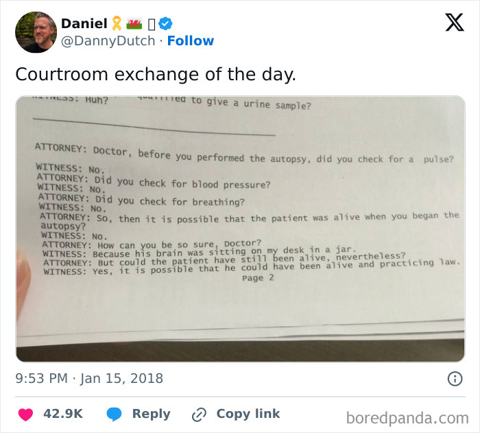 93 Of The Internet&rsquo;s Most Favorite Moments That Are Better For You Than The News (New Pics)