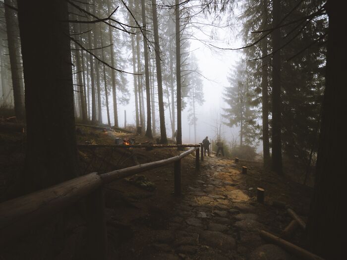 “She Lives Alone”: 111 Scary Encounters That Still Haunt People To This Day