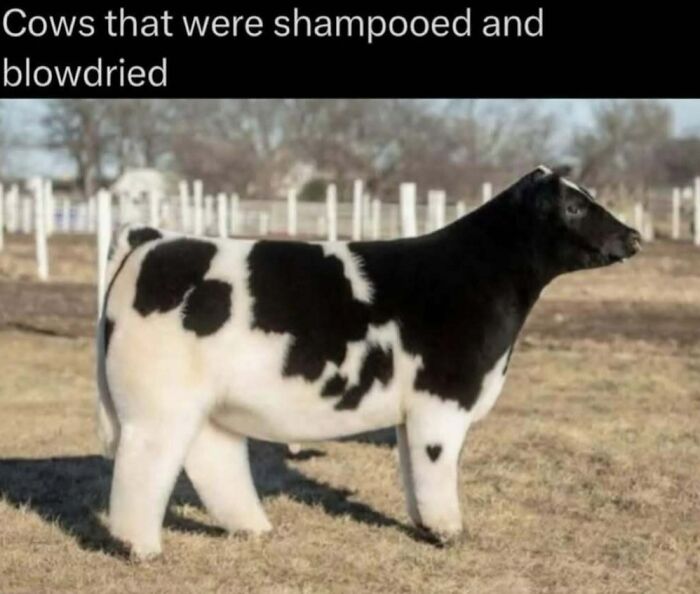 “Explaining The Wild”: 59 Facts And Photos To Teach You Something New About The World