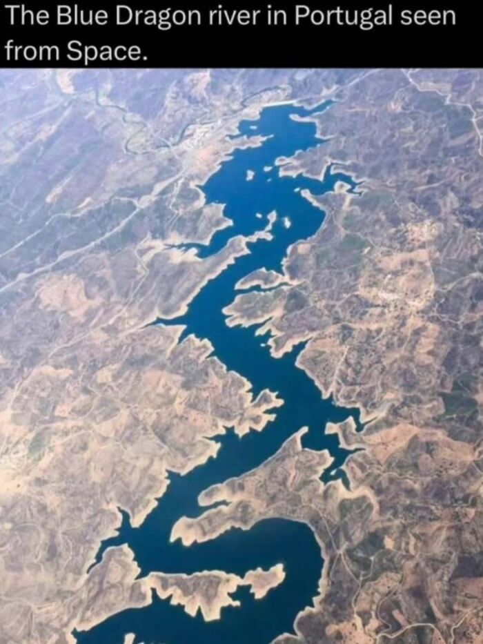 “Explaining The Wild”: 59 Facts And Photos To Teach You Something New About The World