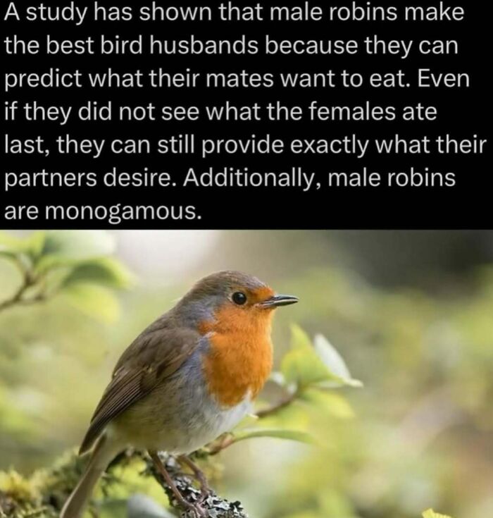 “Explaining The Wild”: 59 Facts And Photos To Teach You Something New About The World