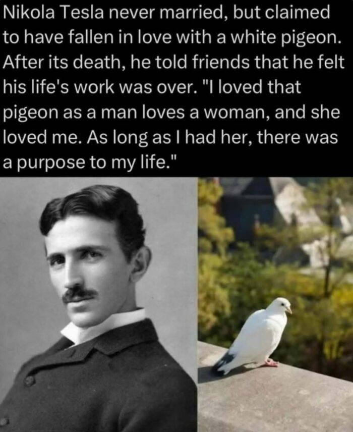 “Explaining The Wild”: 59 Facts And Photos To Teach You Something New About The World