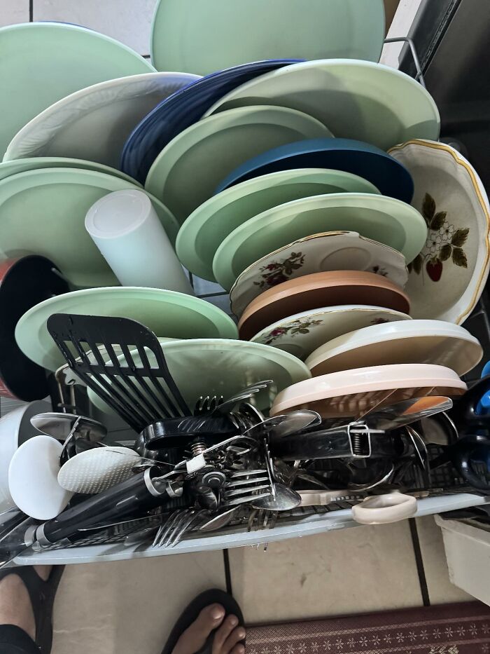 49 Infuriating Pictures That Show Some Women Live With Animals Instead Of Husbands