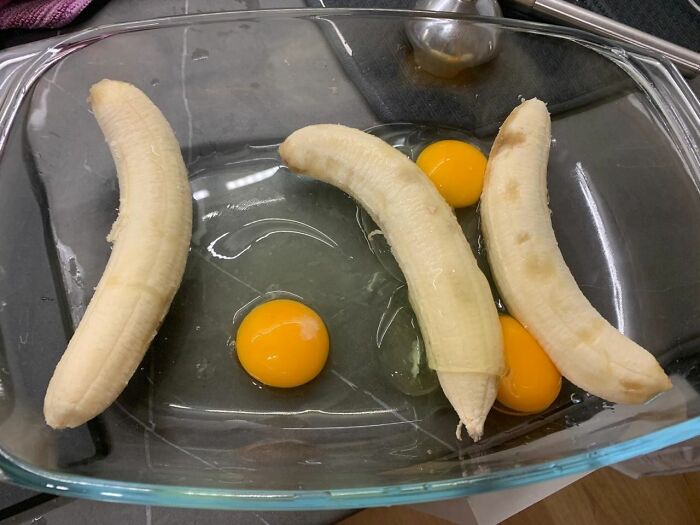 49 Infuriating Pictures That Show Some Women Live With Animals Instead Of Husbands