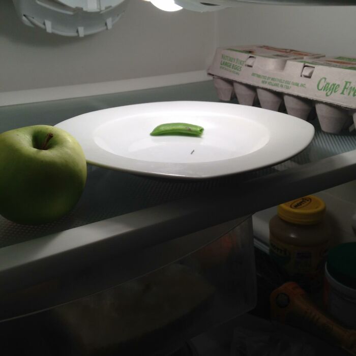 49 Infuriating Pictures That Show Some Women Live With Animals Instead Of Husbands