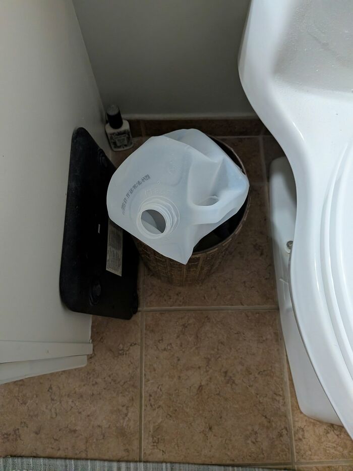 49 Infuriating Pictures That Show Some Women Live With Animals Instead Of Husbands