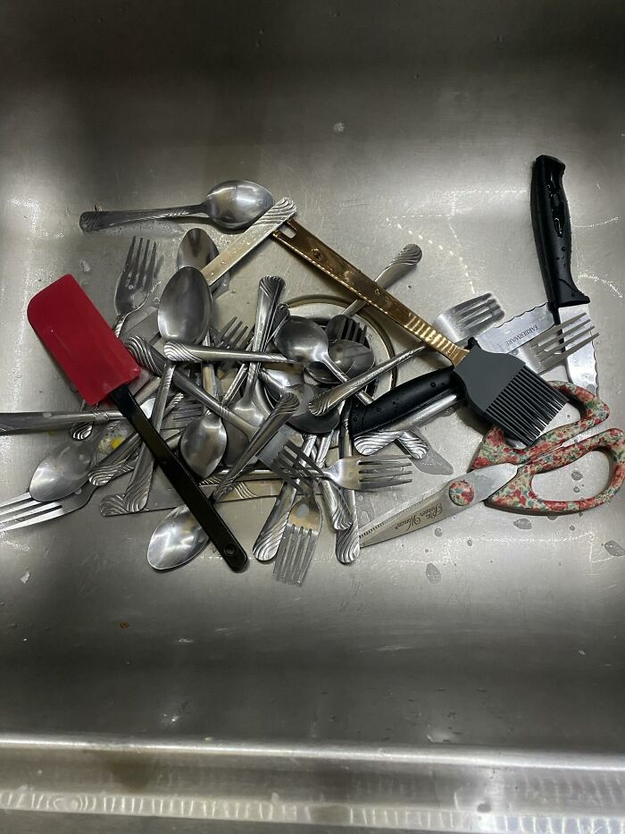 49 Infuriating Pictures That Show Some Women Live With Animals Instead Of Husbands