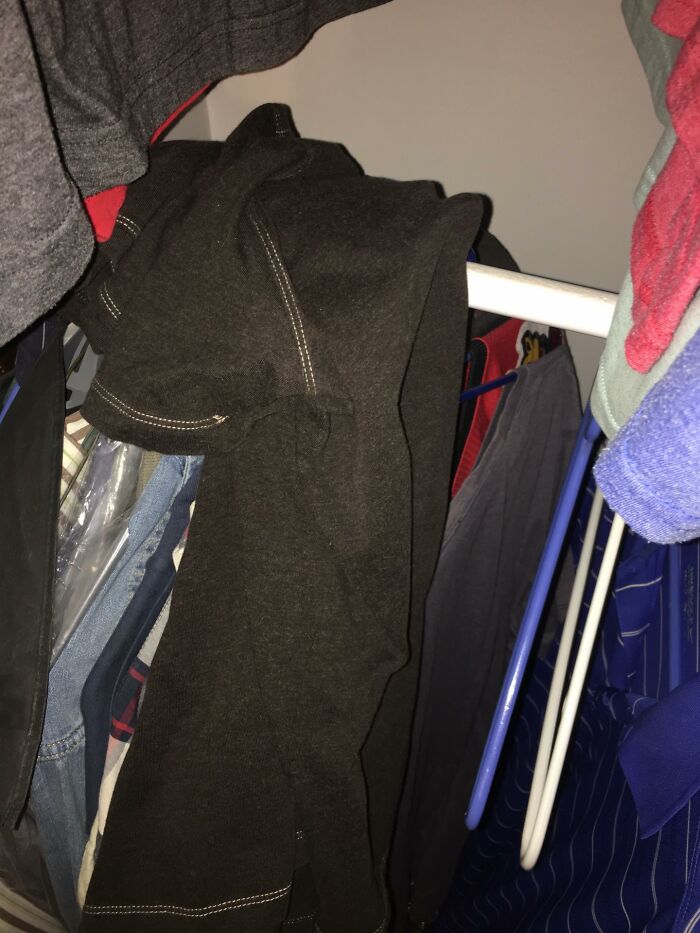 49 Infuriating Pictures That Show Some Women Live With Animals Instead Of Husbands