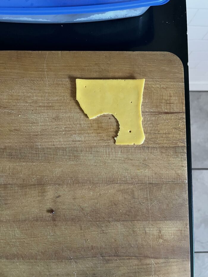 49 Infuriating Pictures That Show Some Women Live With Animals Instead Of Husbands