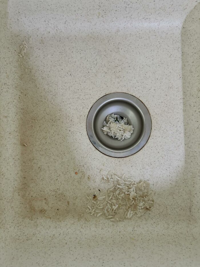 49 Infuriating Pictures That Show Some Women Live With Animals Instead Of Husbands