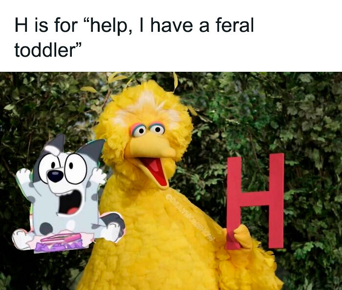 Mom Creates Hilarious Memes About Parenthood And Here Are 45 Of The Best Ones
