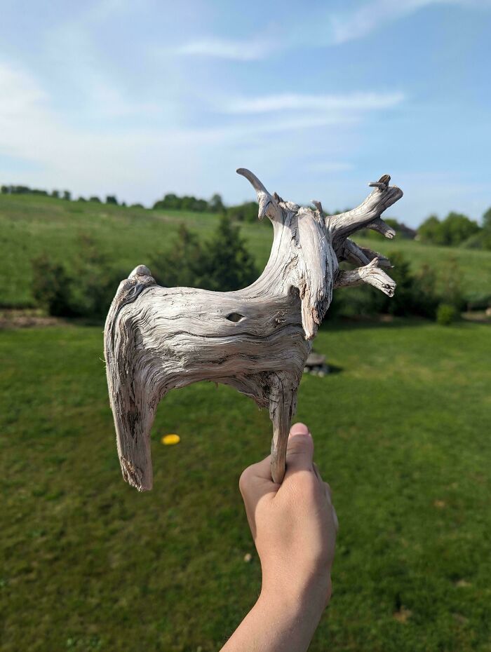 57 Cool Sticks People Found In The Wild That Could Even Serve As Blades, Staffs, And Swords