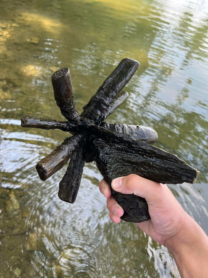 57 Cool Sticks People Found In The Wild That Could Even Serve As Blades, Staffs, And Swords