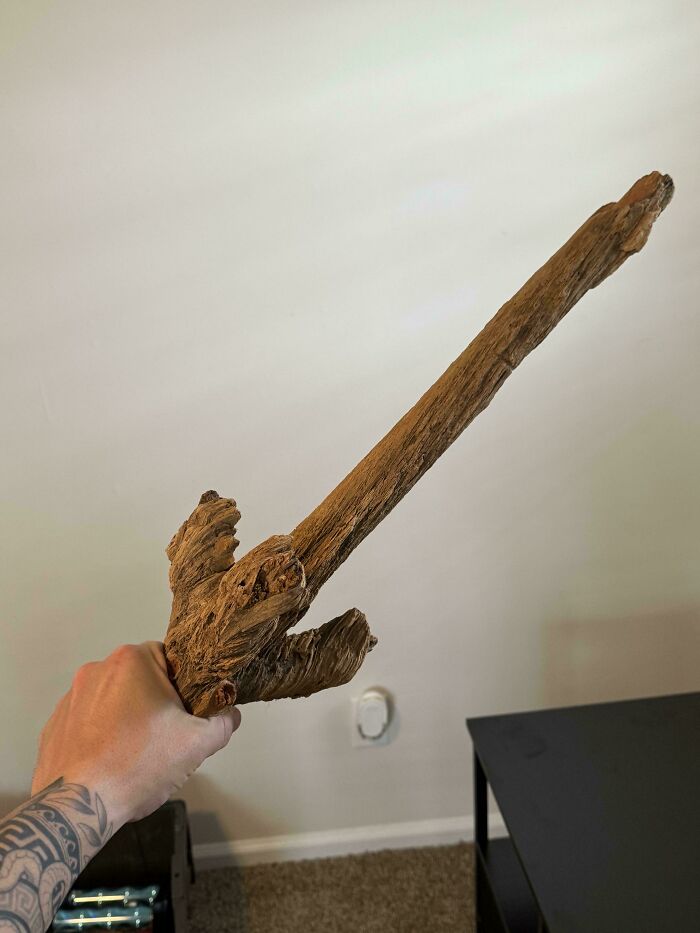 57 Cool Sticks People Found In The Wild That Could Even Serve As Blades, Staffs, And Swords