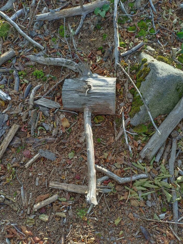 57 Cool Sticks People Found In The Wild That Could Even Serve As Blades, Staffs, And Swords