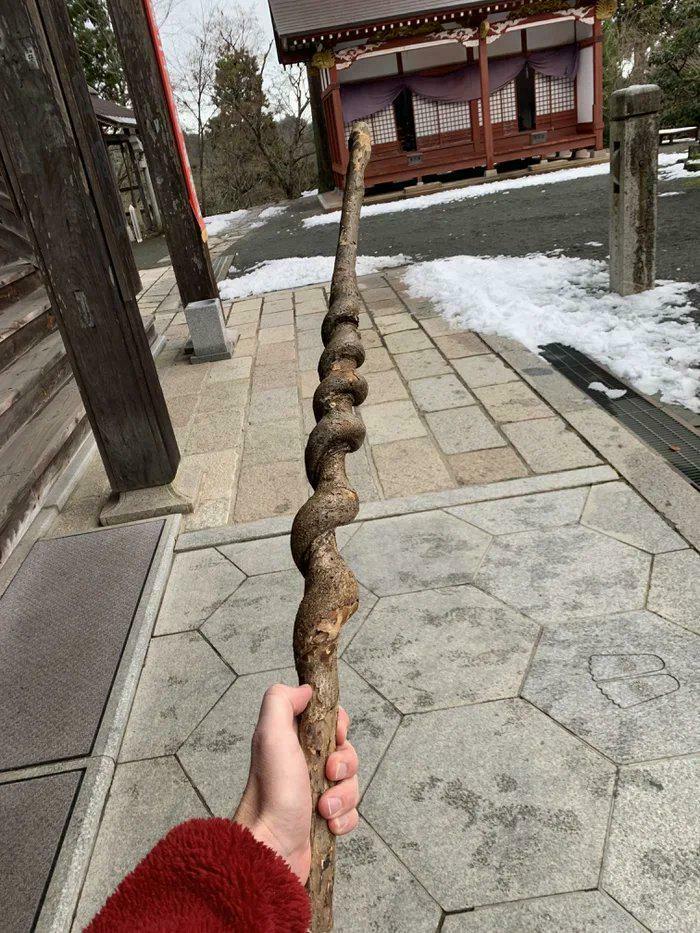 57 Cool Sticks People Found In The Wild That Could Even Serve As Blades, Staffs, And Swords