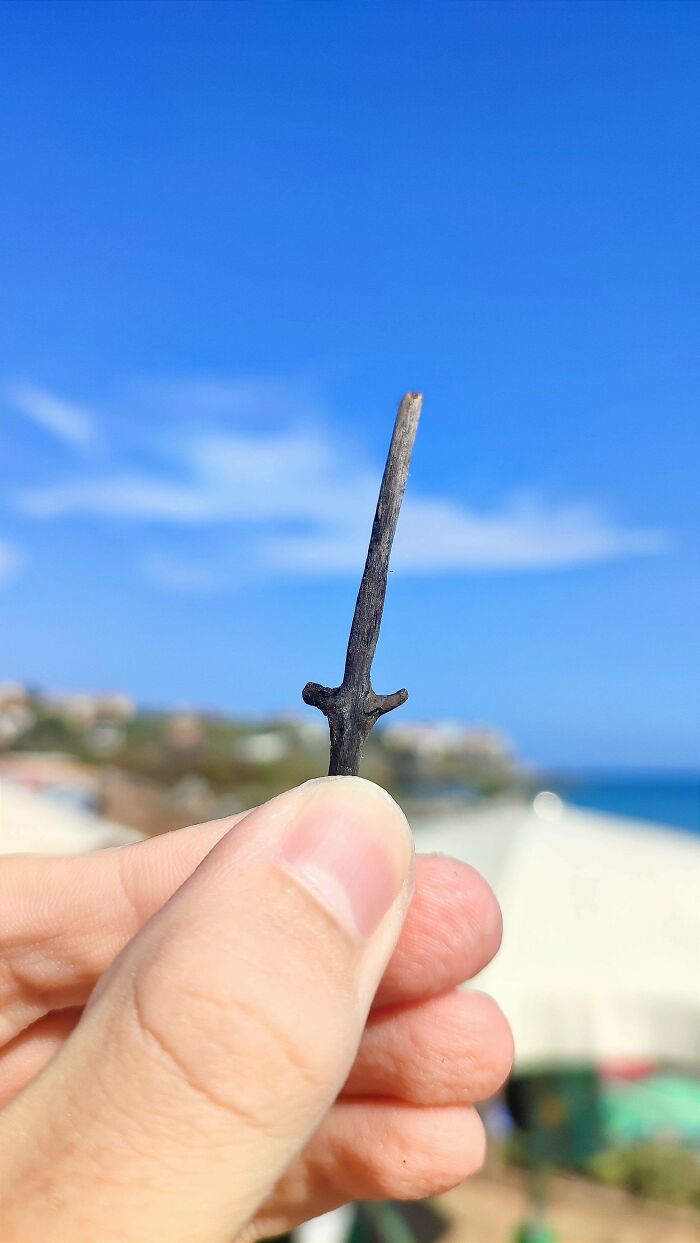 57 Cool Sticks People Found In The Wild That Could Even Serve As Blades, Staffs, And Swords