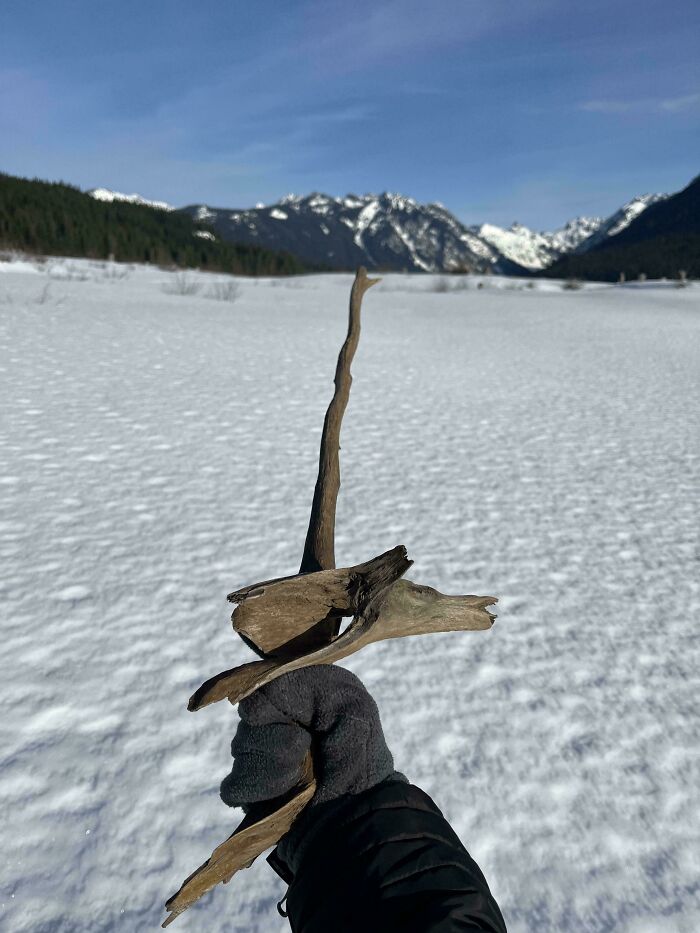 57 Cool Sticks People Found In The Wild That Could Even Serve As Blades, Staffs, And Swords