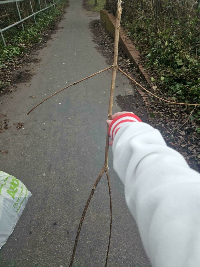 57 Cool Sticks People Found In The Wild That Could Even Serve As Blades, Staffs, And Swords