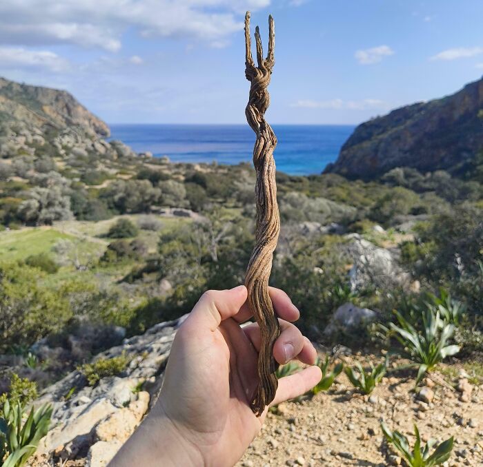 57 Cool Sticks People Found In The Wild That Could Even Serve As Blades, Staffs, And Swords