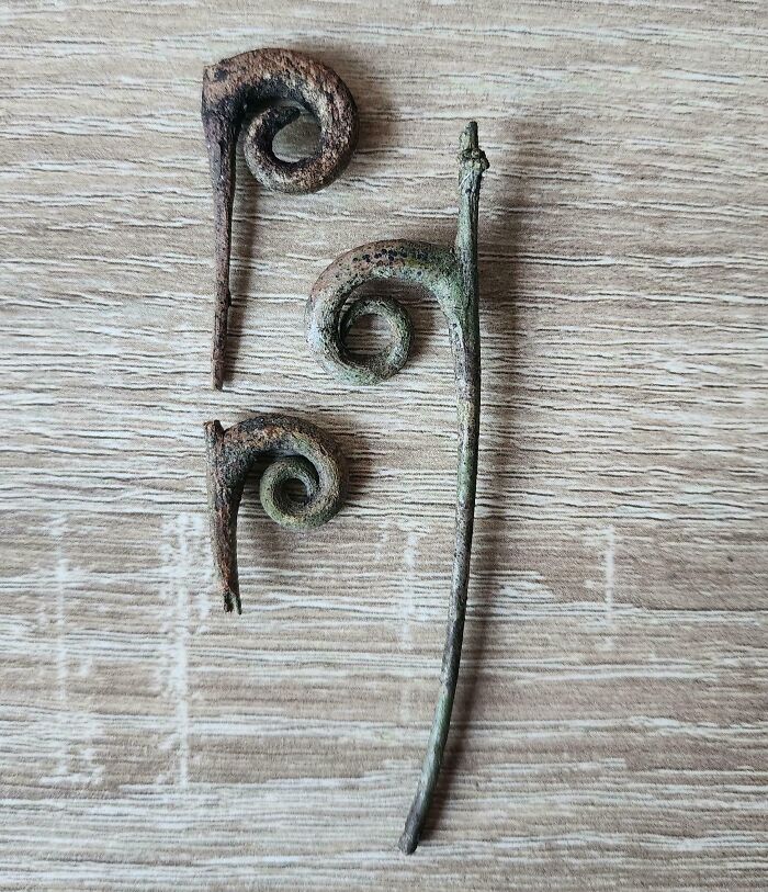 57 Cool Sticks People Found In The Wild That Could Even Serve As Blades, Staffs, And Swords