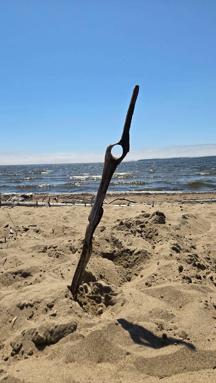 57 Cool Sticks People Found In The Wild That Could Even Serve As Blades, Staffs, And Swords