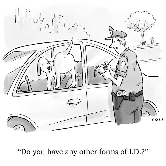 43 Hilarious Cartoons By Tyson Cole That Convey The Message With Little To No Words (New Pics)