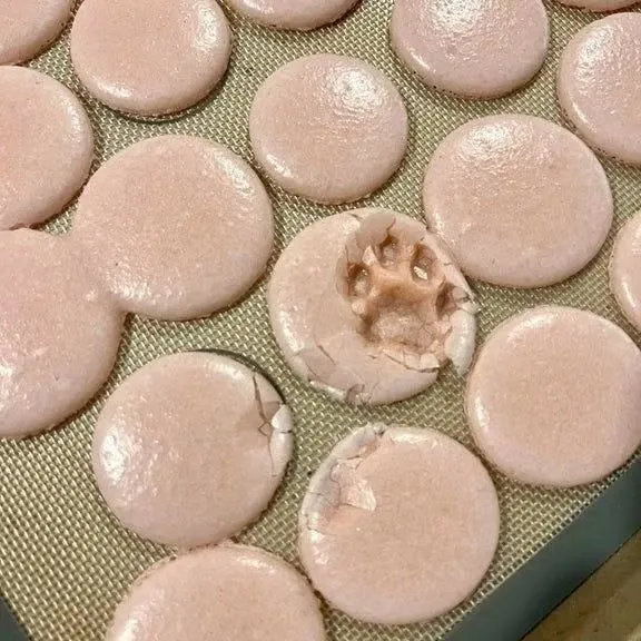 ‘Why I Should Have A Cat’: This Instagram Page Might Be The Reason You End Up Getting A Cat (51 Pics)