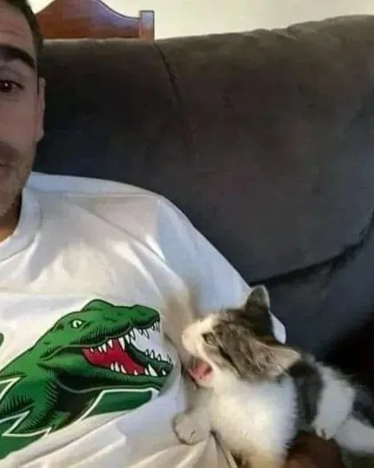 ‘Why I Should Have A Cat’: This Instagram Page Might Be The Reason You End Up Getting A Cat (51 Pics)