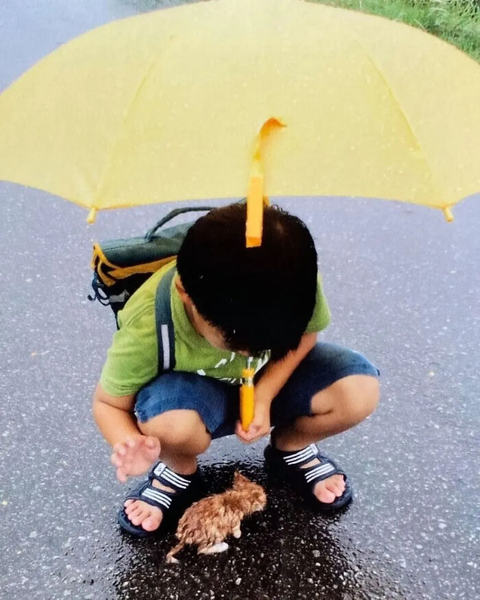 ‘Why I Should Have A Cat’: This Instagram Page Might Be The Reason You End Up Getting A Cat (51 Pics)