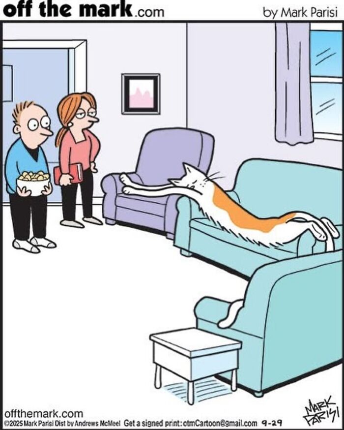 This Artist Sums Up Life With A Cat In His 37 New Funny Cartoons