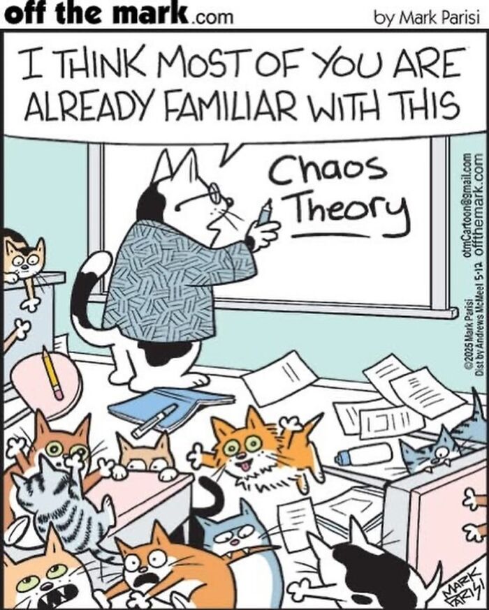 This Artist Sums Up Life With A Cat In His 37 New Funny Cartoons