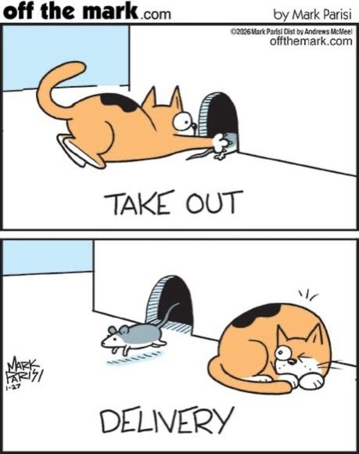 This Artist Sums Up Life With A Cat In His 37 New Funny Cartoons