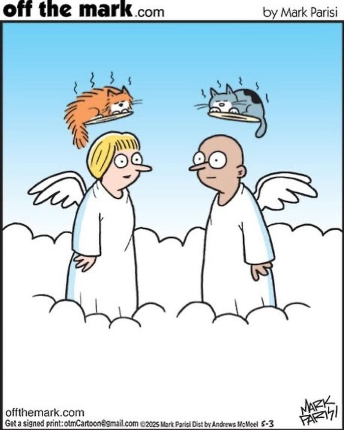 This Artist Sums Up Life With A Cat In His 37 New Funny Cartoons